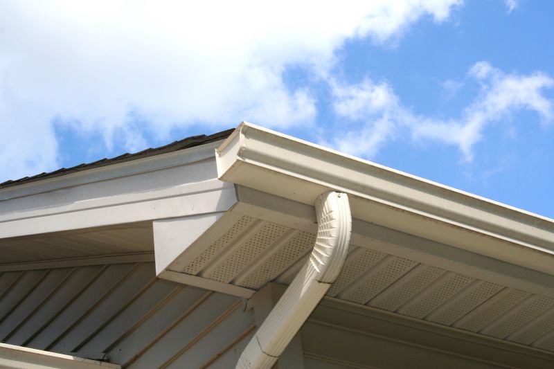 Box Gutter Installation And Repair